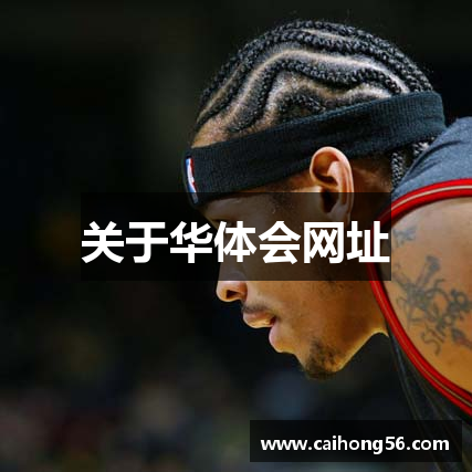 关于华体会网址